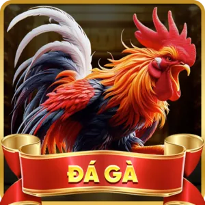 Đá gà trực tuyến FU88